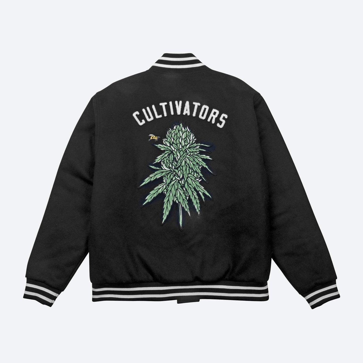Jaqueta DGK Cultivators Varsity Preto