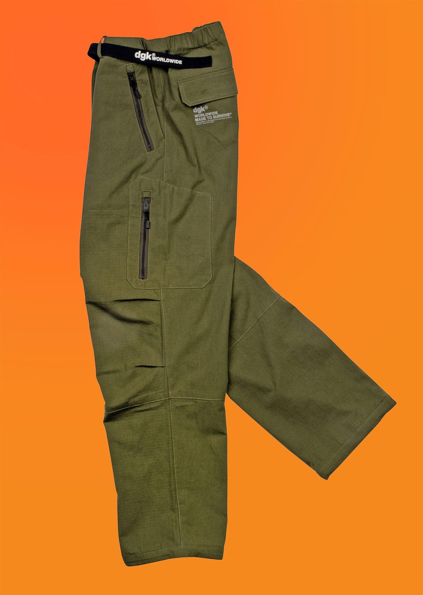 Calça DGK Survival Cargo Pant Verde