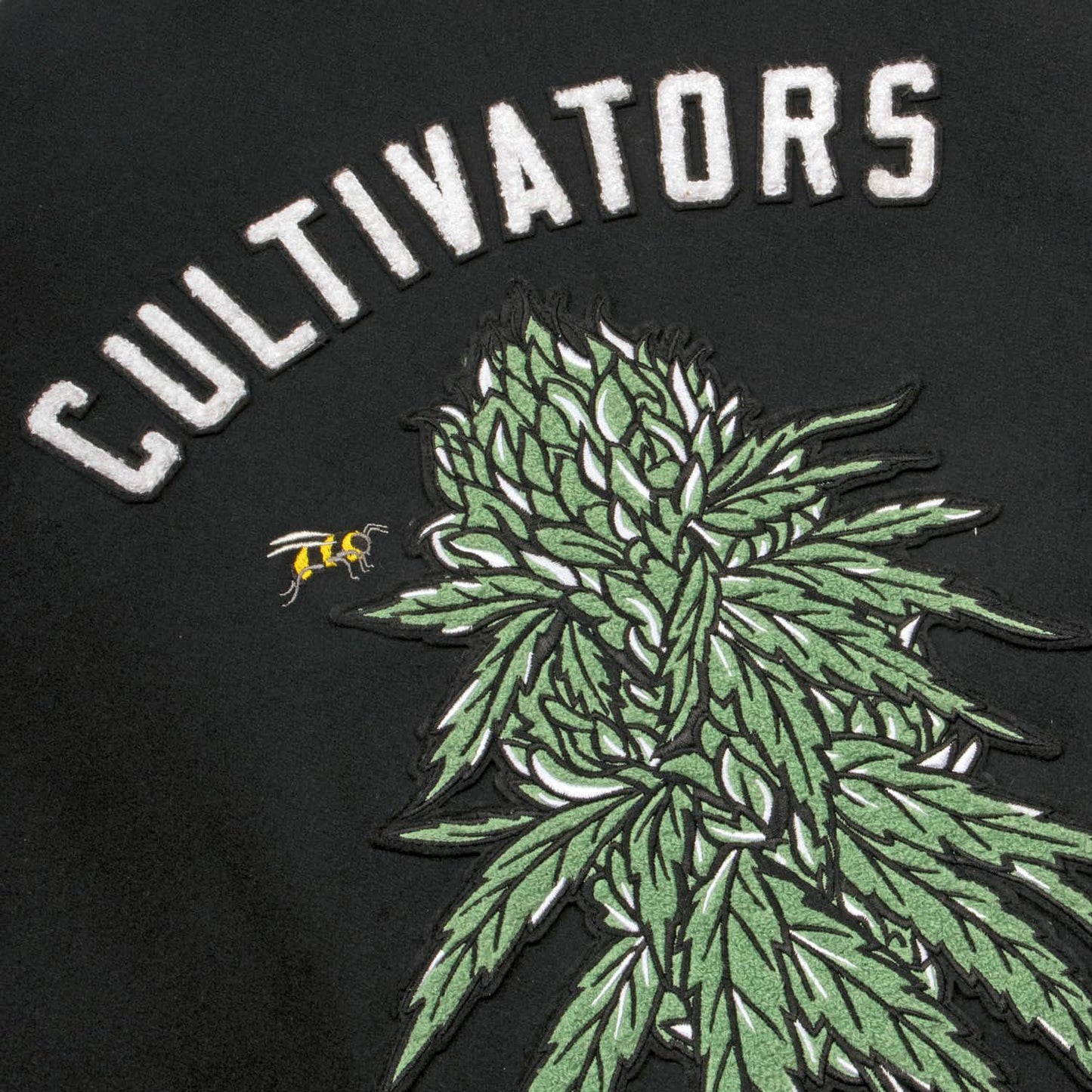 Jaqueta DGK Cultivators Varsity Preto