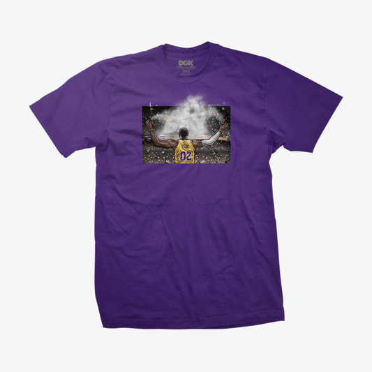 Camiseta DGK All Time Roxo