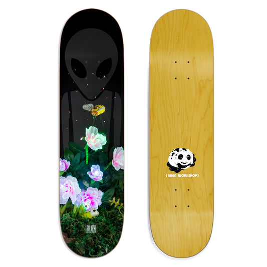 Shape Alien Workshop Sammy Montano Midnight Snack